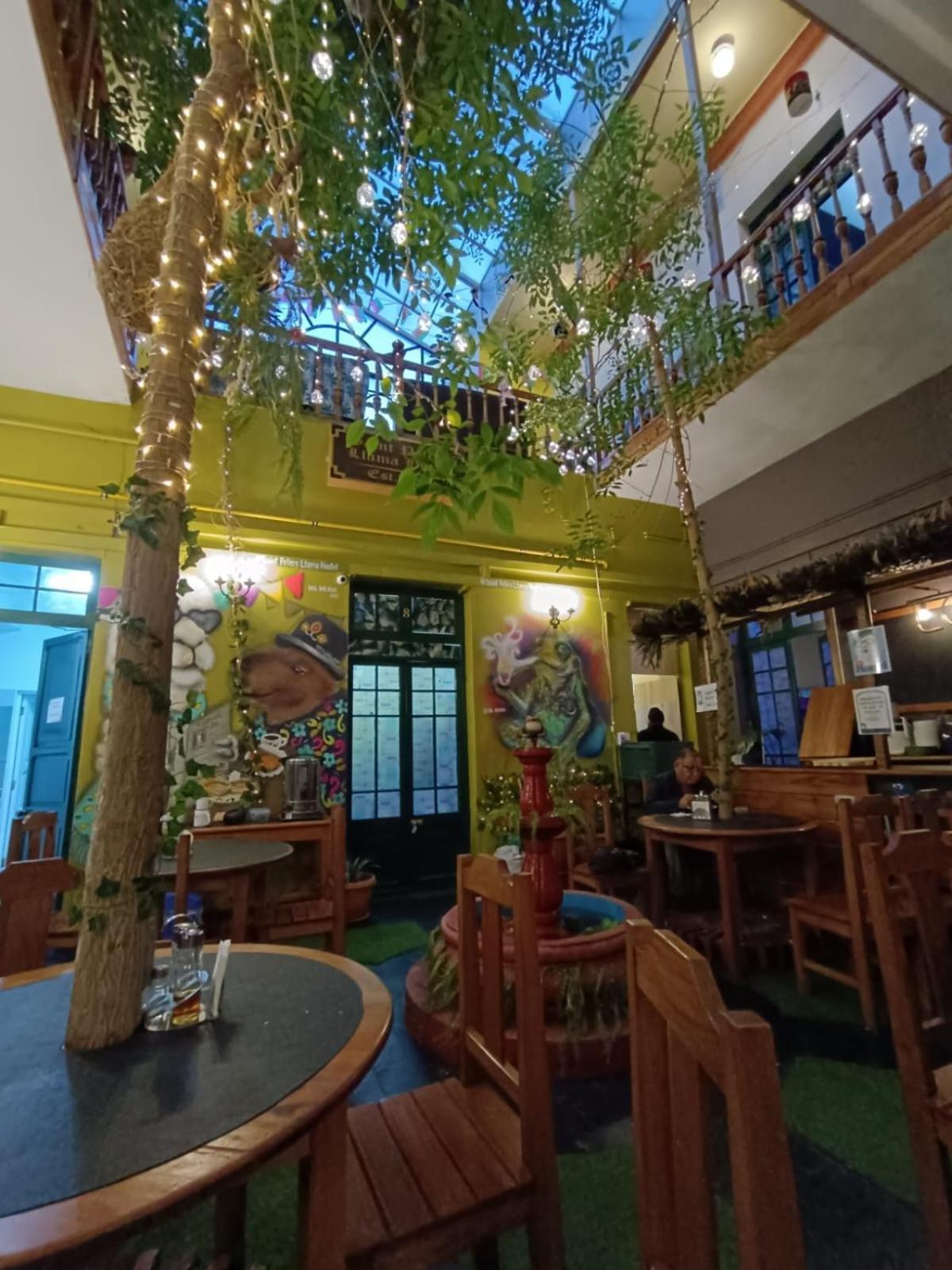 Saint Peter'S Llama Hostal La Paz Exteriör bild